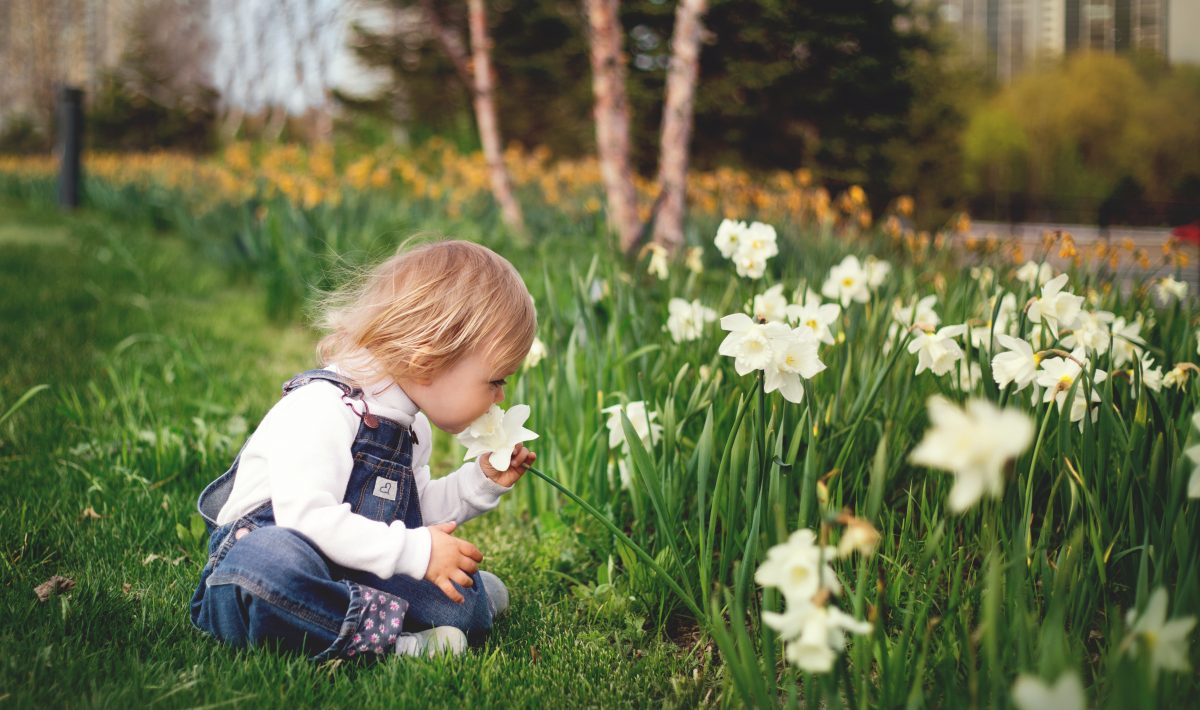 Kindervriendelijke-Tuin-Tuinbestratingwinkel